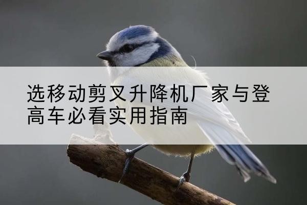 大武口电动升降机厂家-选移动剪叉升降机厂家与登高车必看实用指南