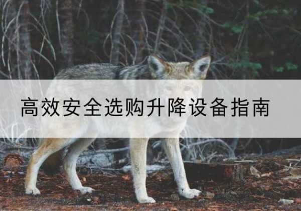 大武口升降货梯厂家推荐-*安全选购升降设备指南