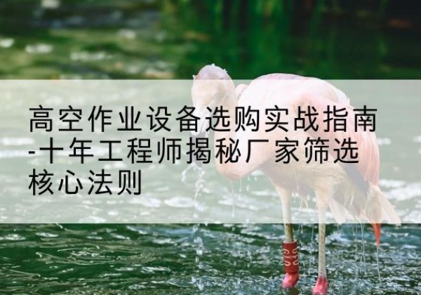 大武口剪叉式升降机厂家-高空作业设备选购实战指南-十年工程师揭秘厂家筛选核心法则